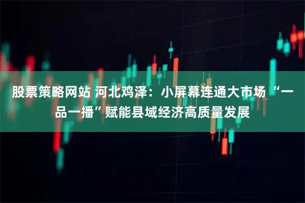 股票策略网站 河北鸡泽：小屏幕连通大市场 “一品一播”赋能县域经济高质量发展