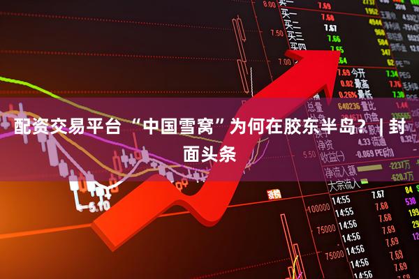 配资交易平台 “中国雪窝”为何在胶东半岛？ | 封面头条