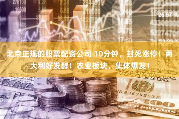 北京正规的股票配资公司 10分钟，封死涨停！两大利好发酵！农业板块，集体爆发！